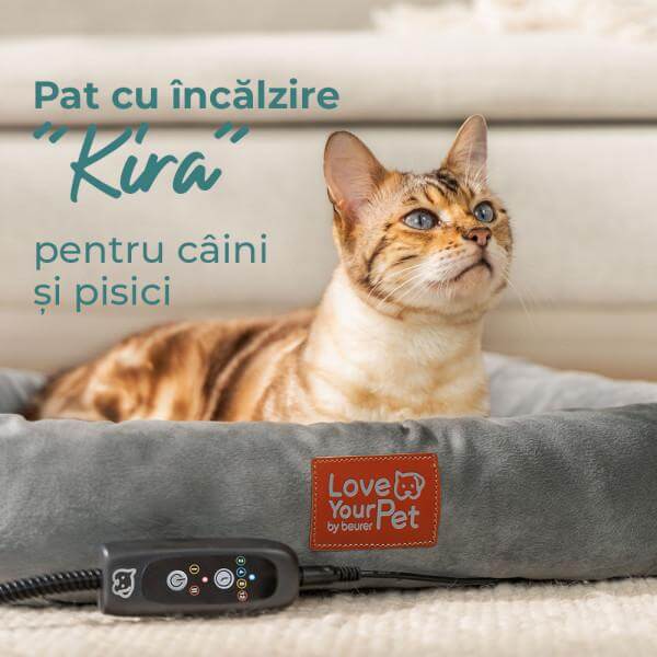 Pat cu incalzire pentru caini si pisici Kira PP 250 Beurer
