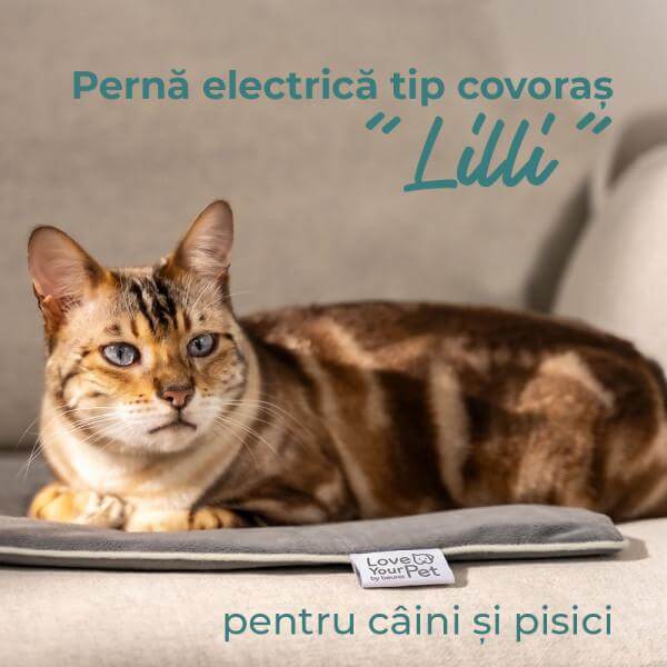 Perna electrica pentru caini si pisici Lilli PP 210 Beurer