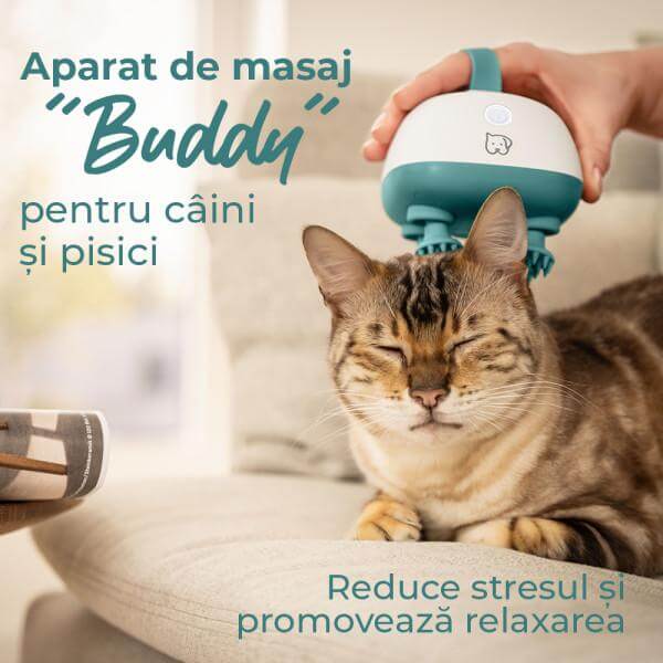 Aparat de masaj pentru caini si pisici Buddy PP 410 Beurer